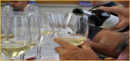 Cata de vinos blancos: sirviendo vino en las copas