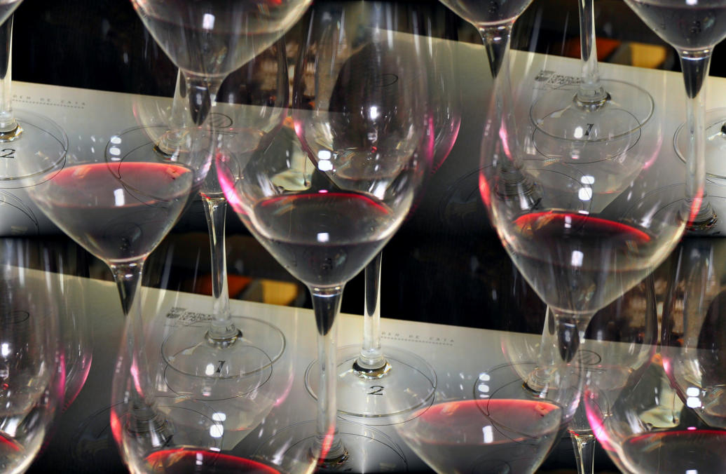 Copas de vino tinto en una mesa de cata